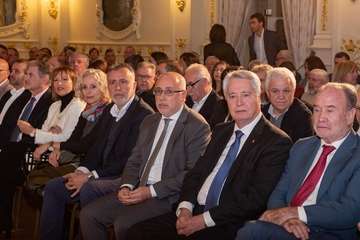 Morales recoge la Medalla de Oro de la Cámara por el servicio del Cabildo a la economía de la Isla (Foto TA)
